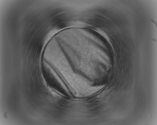 X0000090991488200708241414