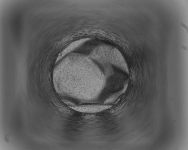 X0000090991489200708241413