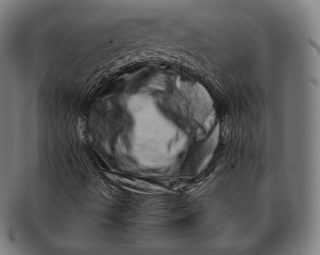 X0000090991490200708241413