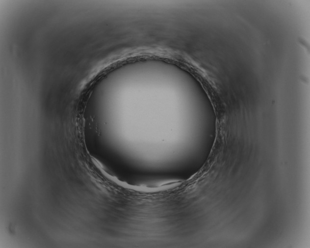 X0000090991496200708241414