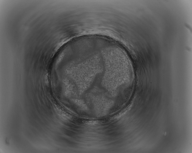 X0000090991497200708241414