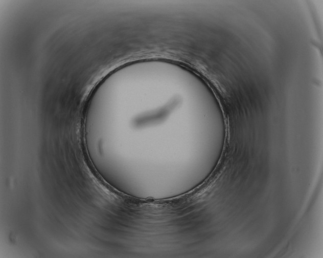 X0000090991500200708241414