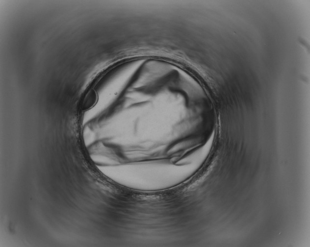 X0000090991501200708241414