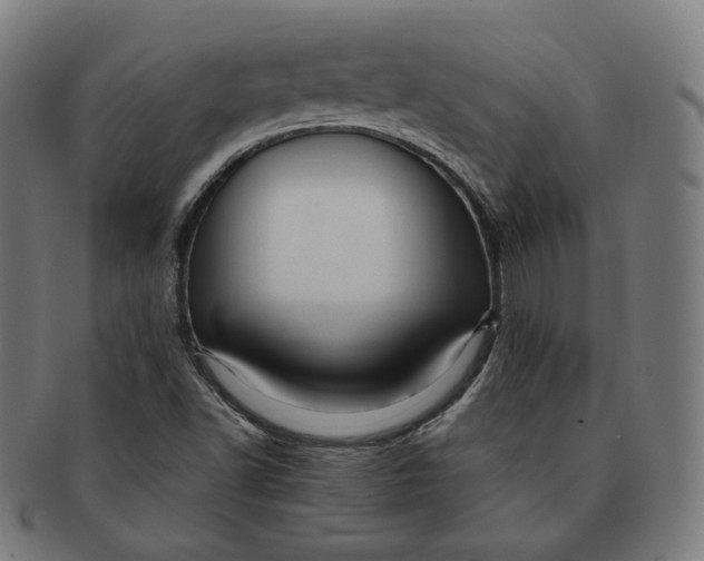 X0000090991502200708241414