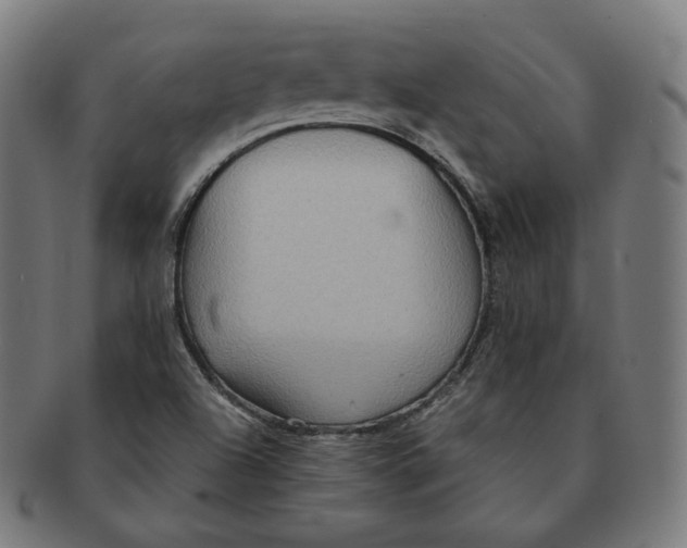 X0000090991504200708241414