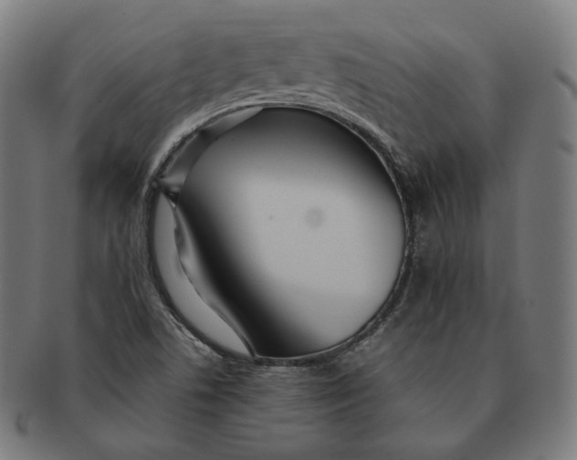 X0000090991506200708241414