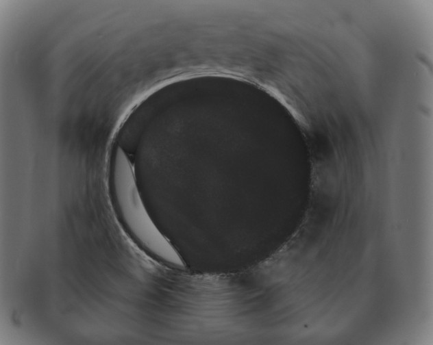 X0000090991508200708241414