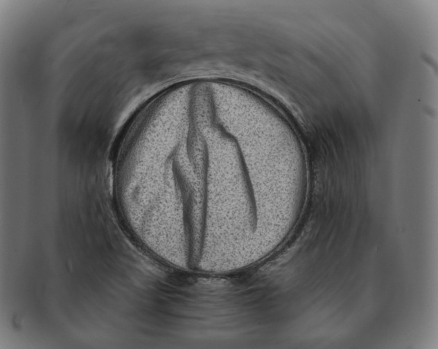 X0000090991509200708241414