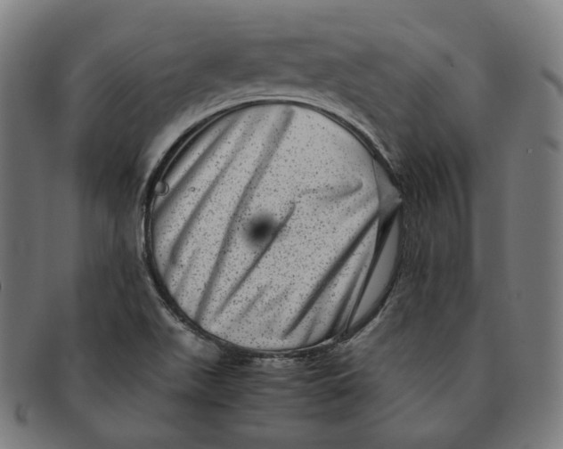 X0000090991511200708241414