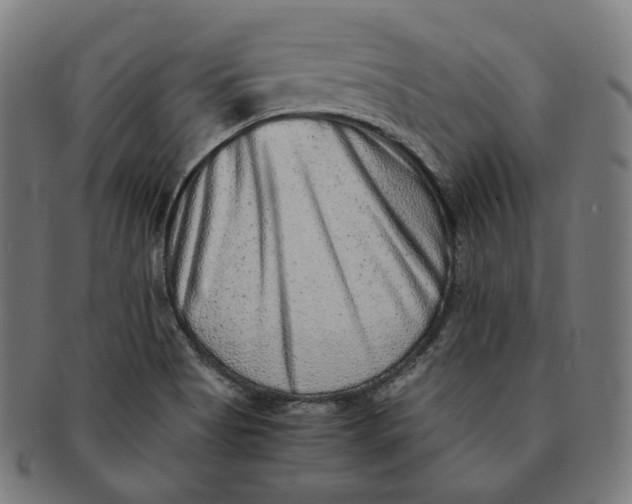 X0000090991513200708241414