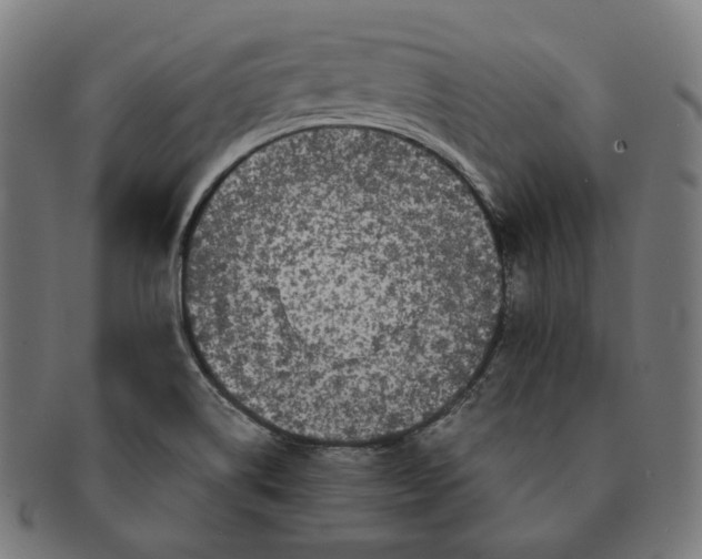 X0000090991514200708241414