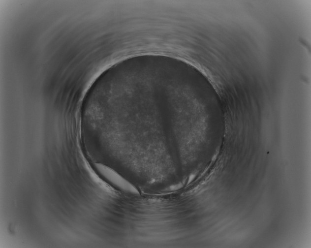 X0000090991515200708241414