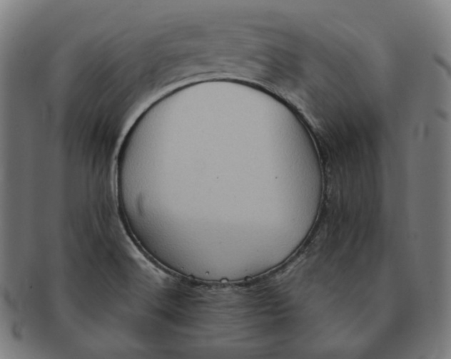 X0000090991516200708241414