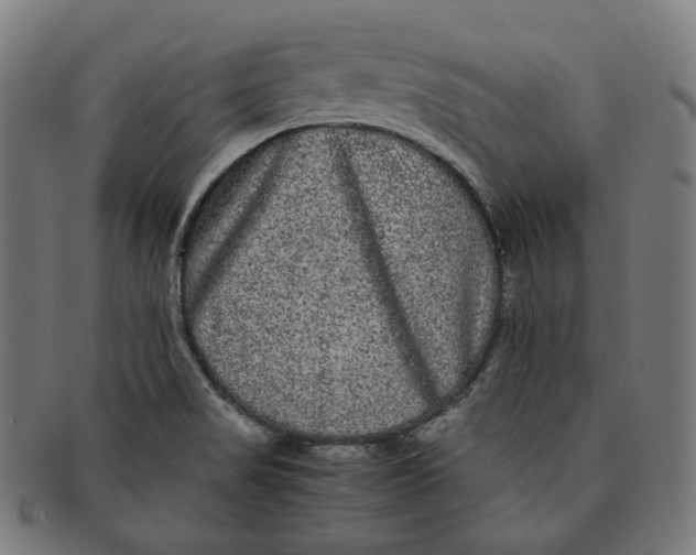 X0000090991517200708241414