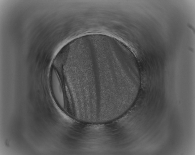 X0000090991519200708241414