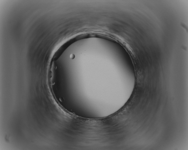 X0000090991520200708241414