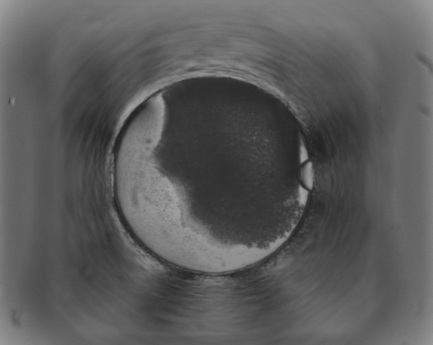 X0000090991522200708241414