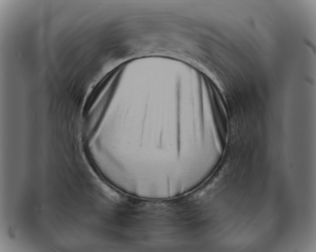 X0000090991525200708241414