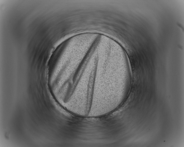 X0000090991526200708241414