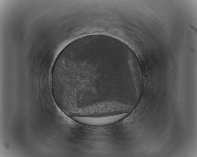 X0000090991527200708241414