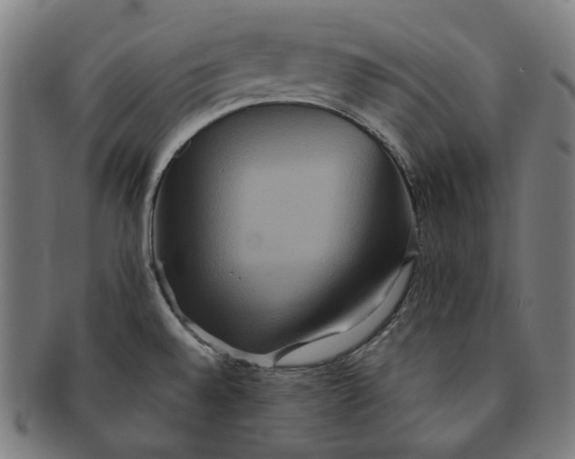 X0000090991528200708241414