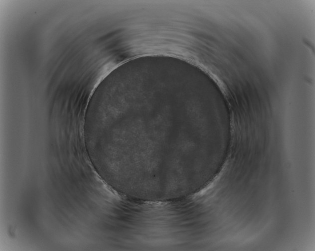 X0000090991529200708241414