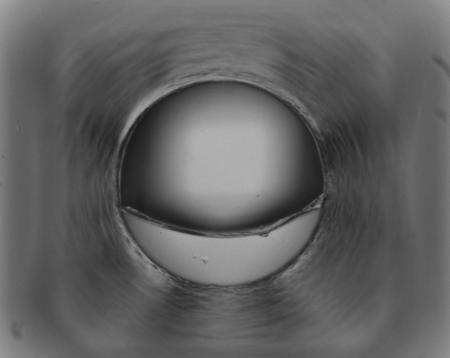 X0000090991530200708241414