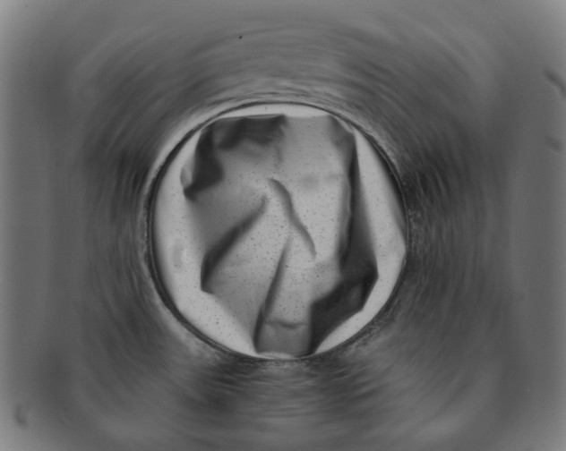 X0000090991531200708241414