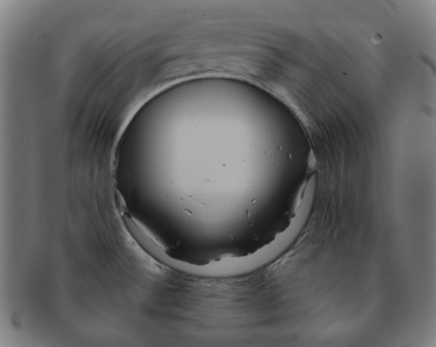 X0000090991532200708241414