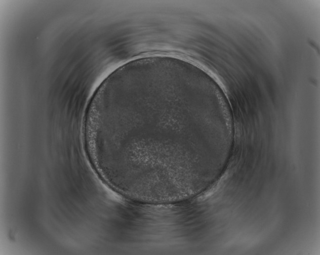 X0000090991533200708241414