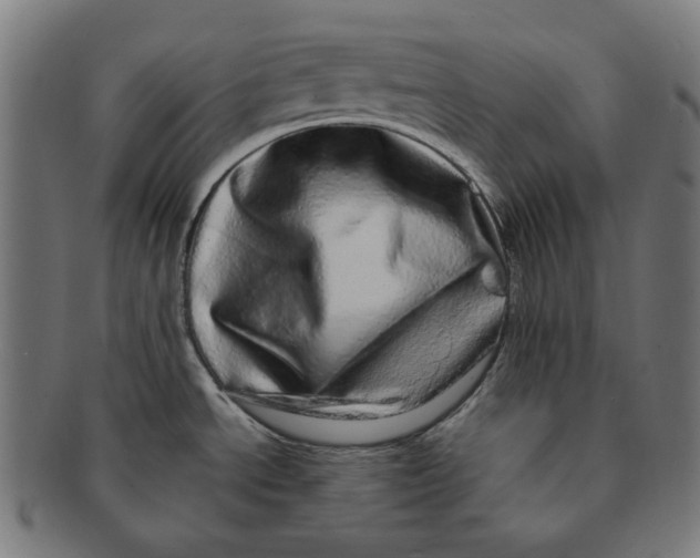 X0000090991534200708241414