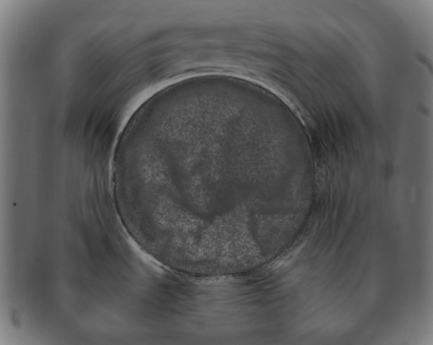 X0000090991535200708241414