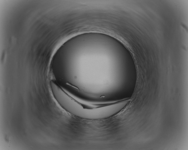 X0000090991536200708241414