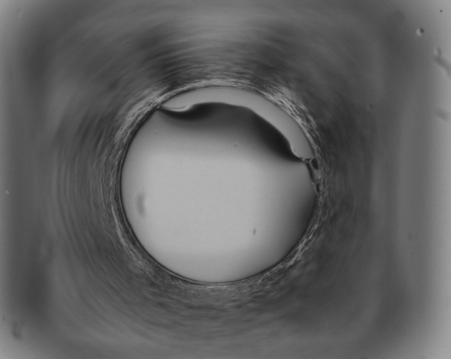 X0000090990001200708301322