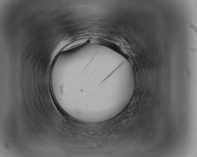 X0000090990003200708301322