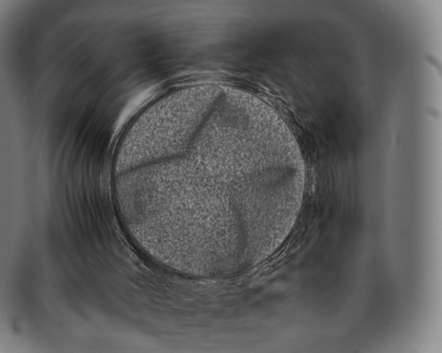 X0000090990004200708301322