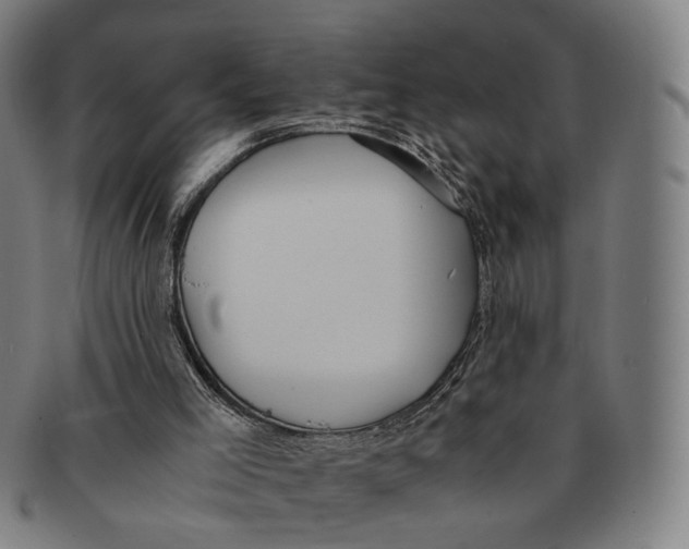 X0000090990005200708301322