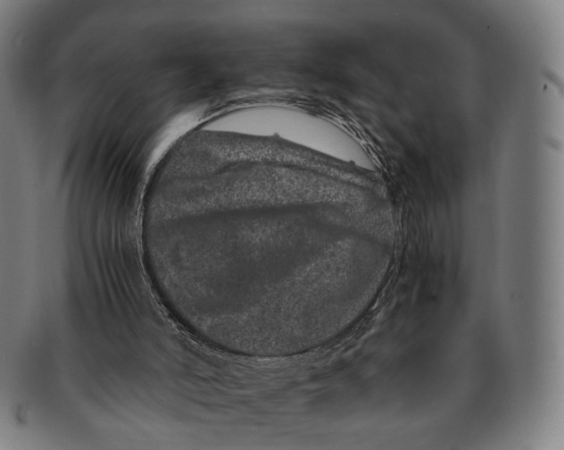 X0000090990006200708301322