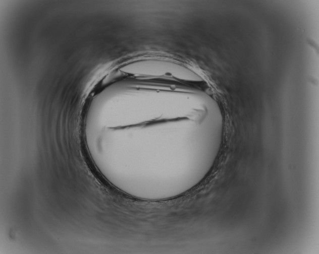 X0000090990007200708301322