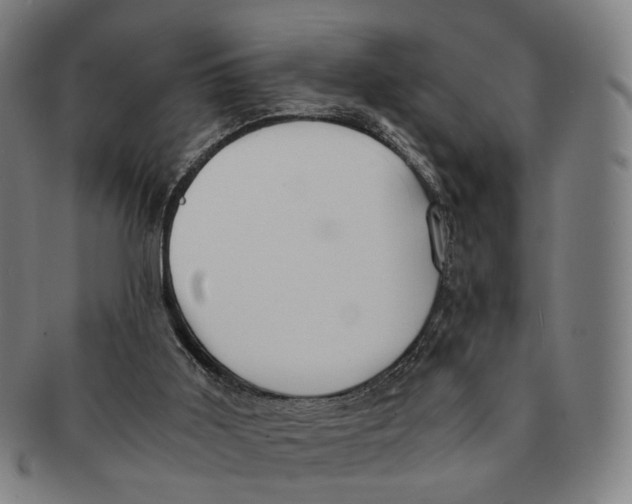 X0000090990011200708301322