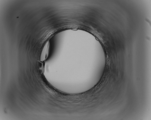 X0000090990013200708301322