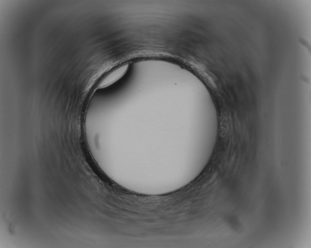 X0000090990015200708301322