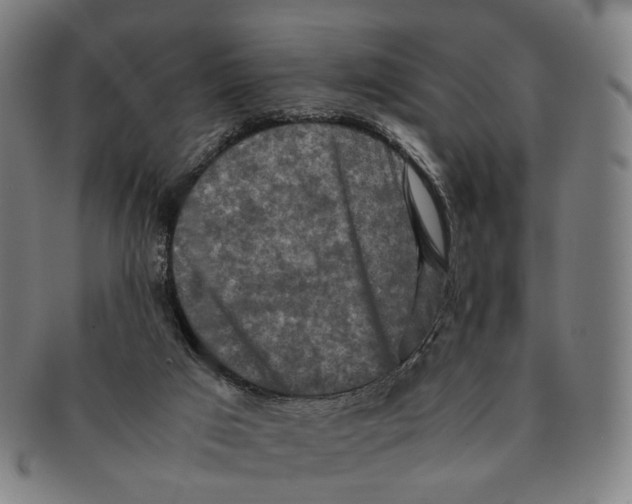 X0000090990017200708301322