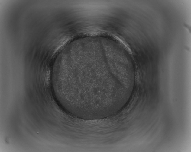 X0000090990018200708301322