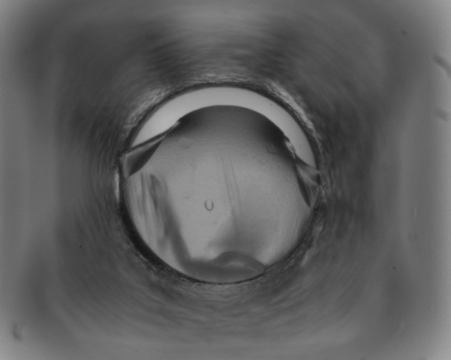 X0000090990019200708301322