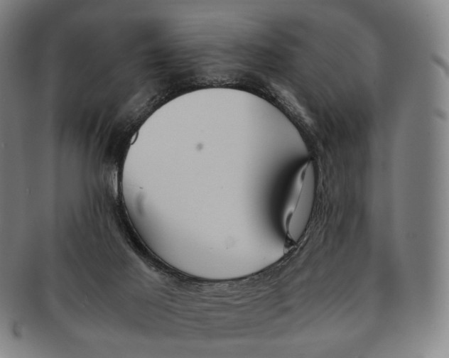 X0000090990021200708301322