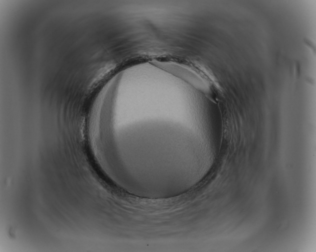 X0000090990023200708301322