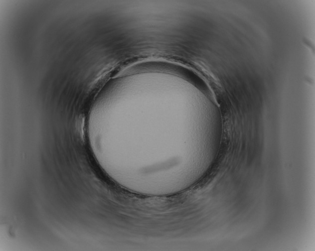 X0000090990024200708301322