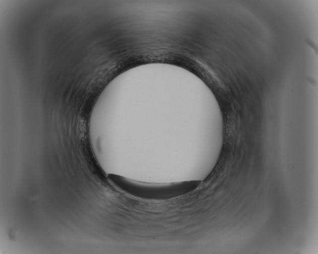 X0000090990025200708301322