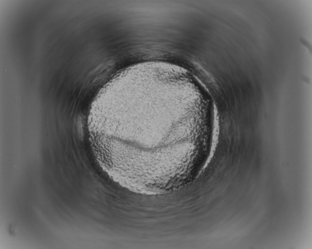 X0000090990026200708301322